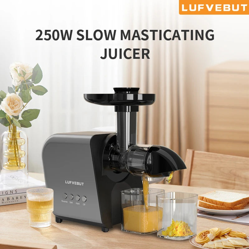 2 In 1 Multi-function Slow Juicer with Vegetable Cutter Slicer