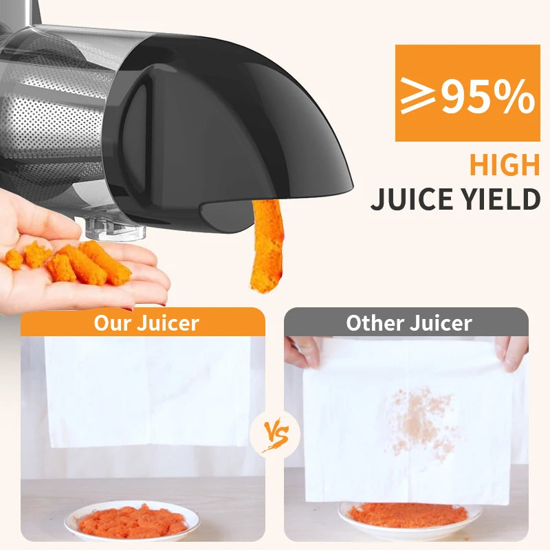 2 In 1 Multi-function Slow Juicer with Vegetable Cutter Slicer